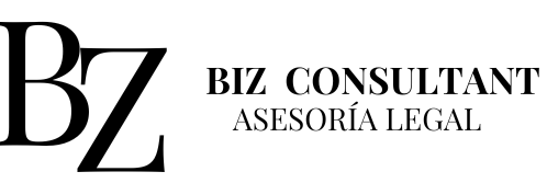 BIZ CONSULTANT 